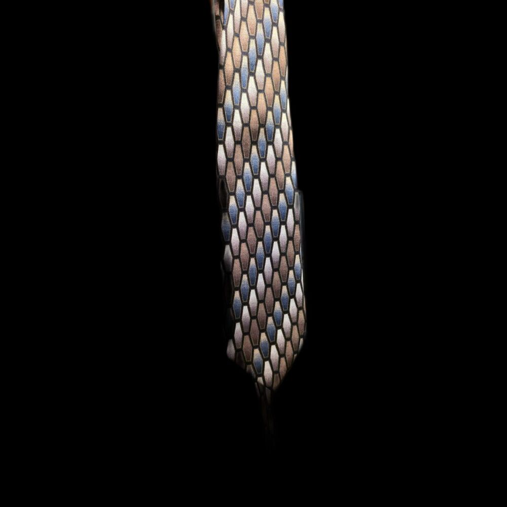 Rafael 100% Silk Men’s Tie